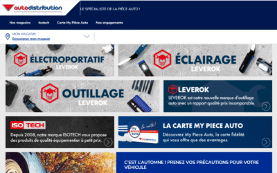 Autodistribution : quand la distribution automobile française s&rsquo;organise pour durer